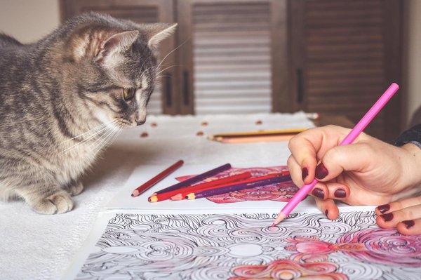 Des Heures de Joie : coloriages chat à Imprimer gratuitement pour tous