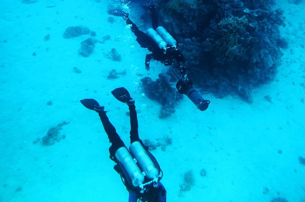 Les meilleurs spots pour faire de la plongée dans le Var